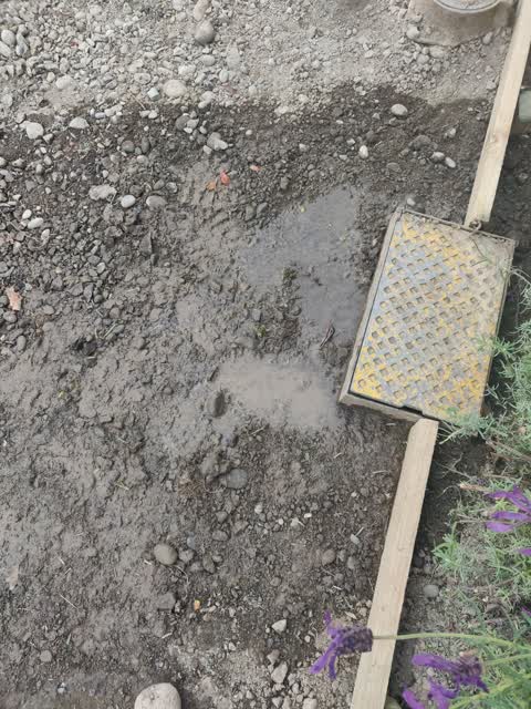 Water Leak, a report photo