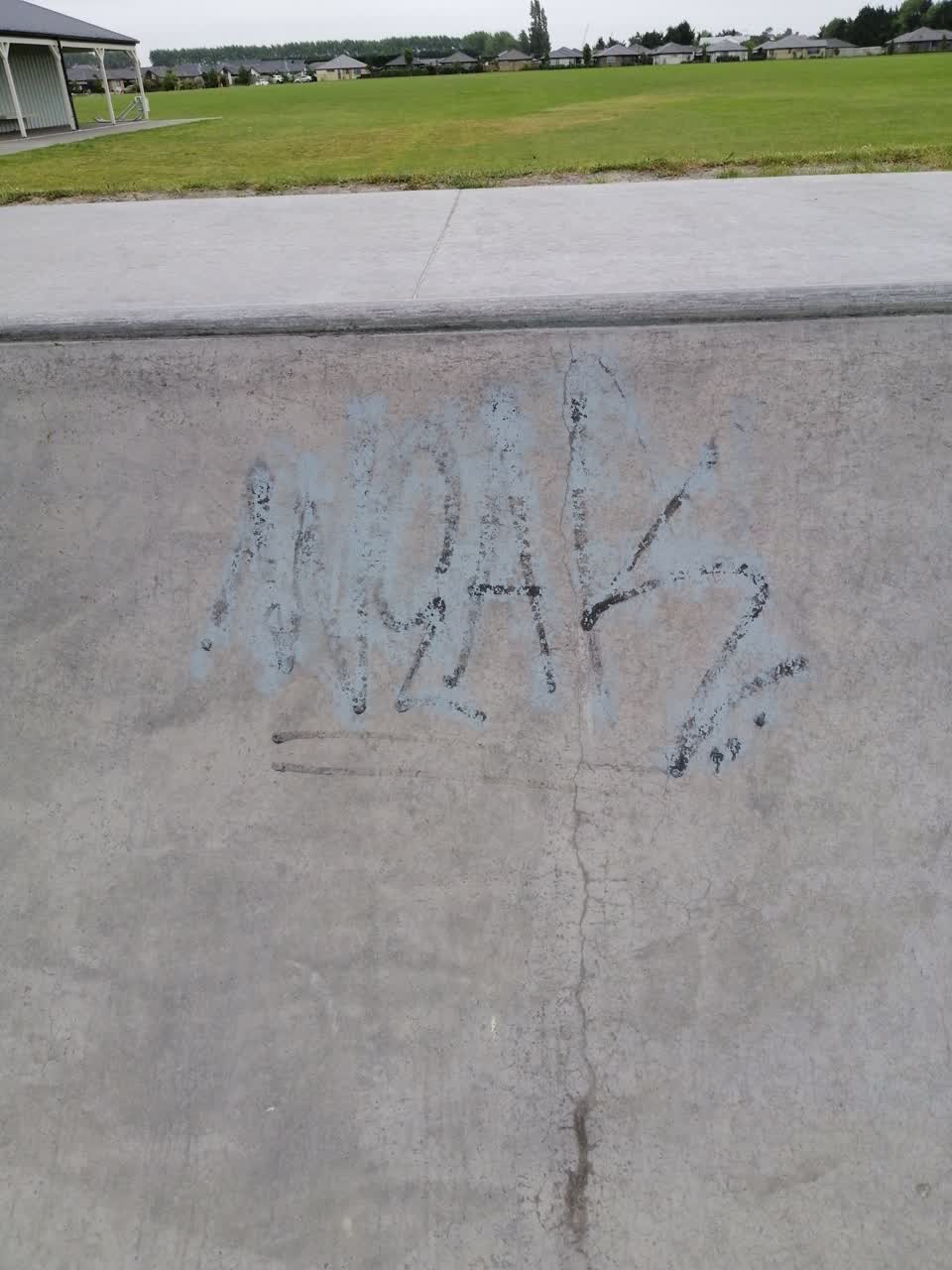 The photograph attached to this graffiti report