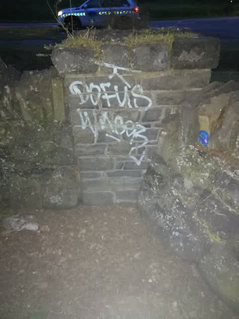 Graffiti — a report photo