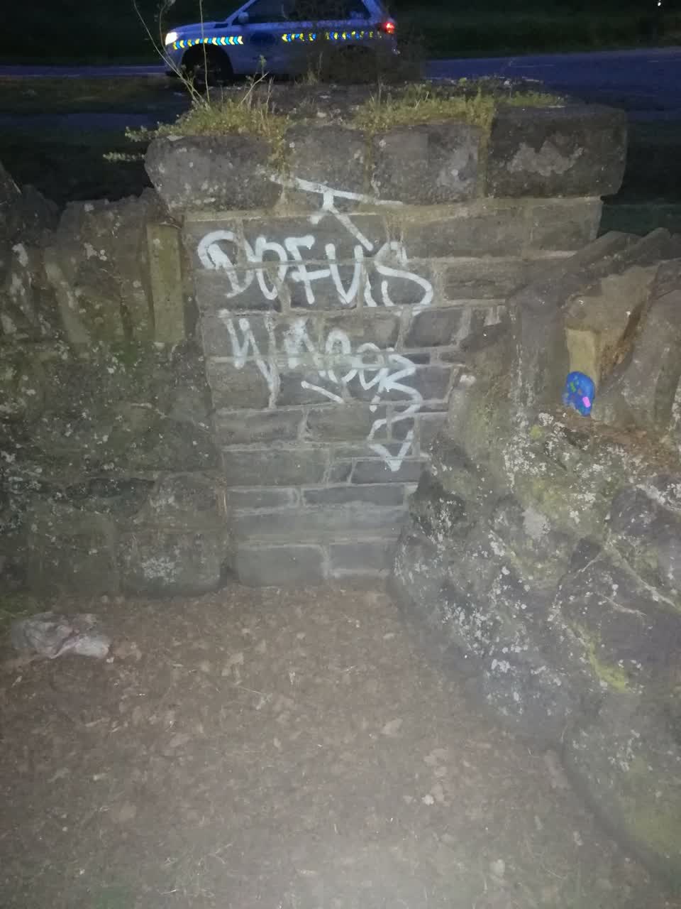 The photograph attached to this graffiti report