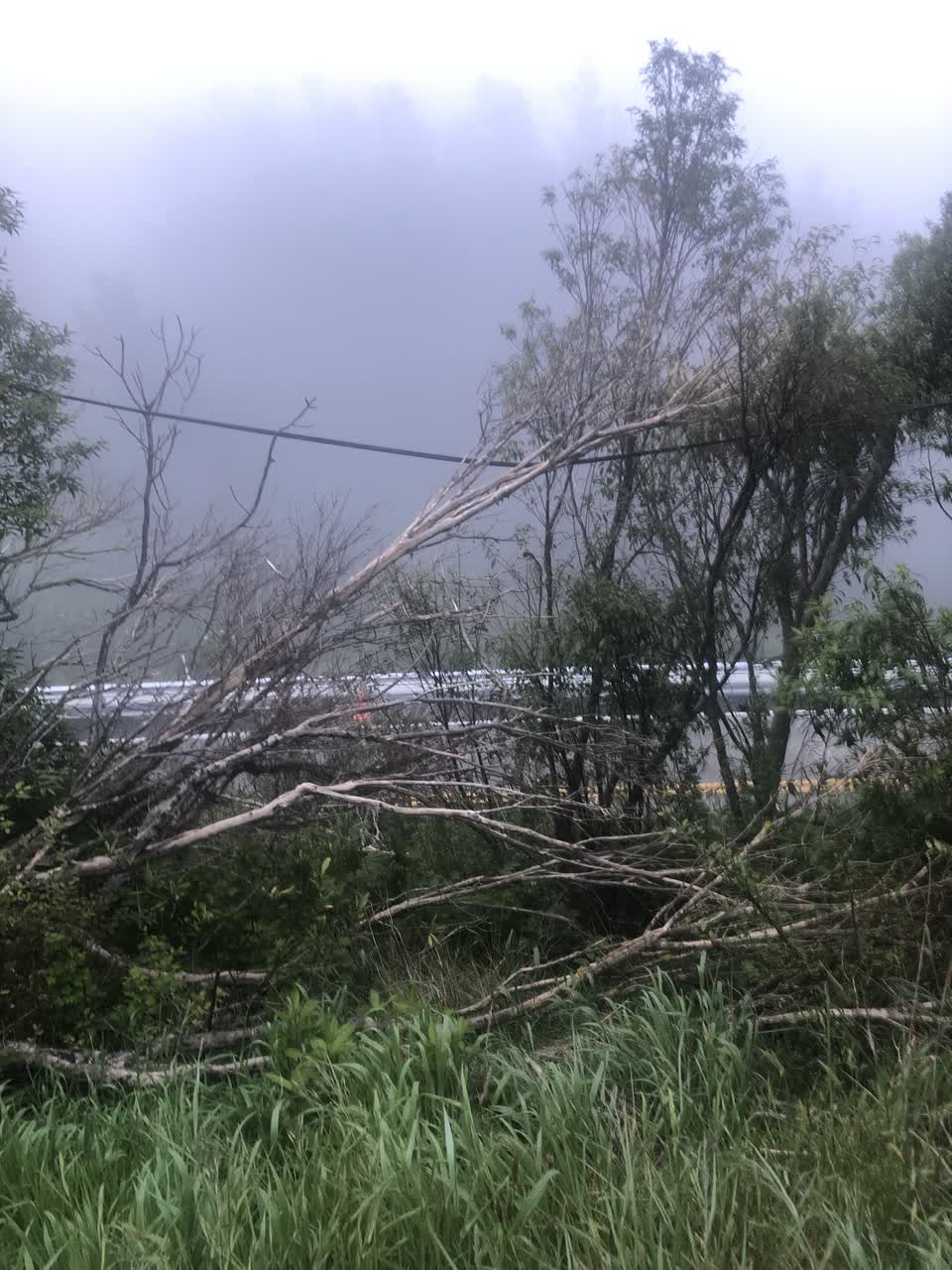 The photograph attached to this parks report