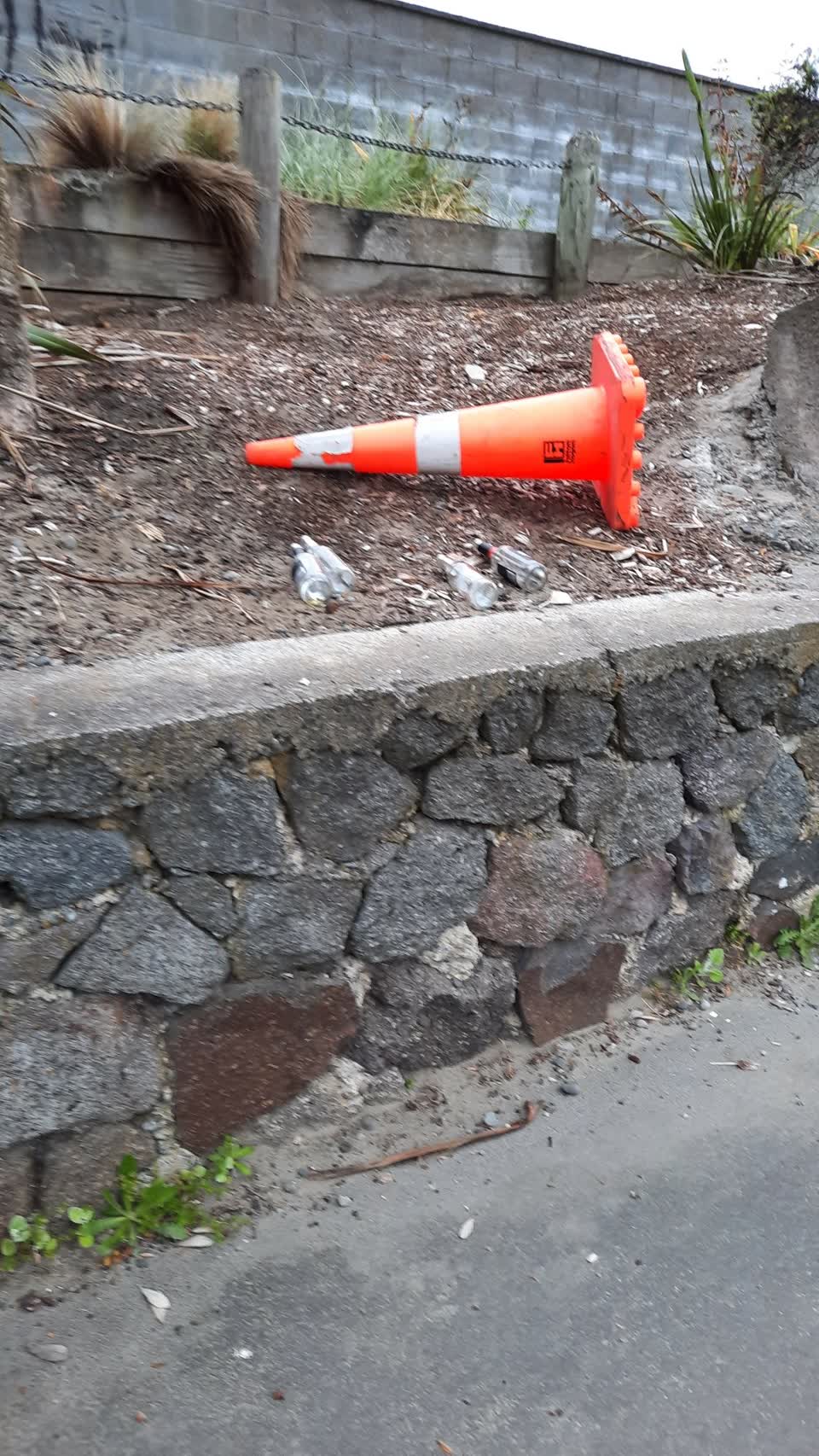 The photograph attached to this parks report