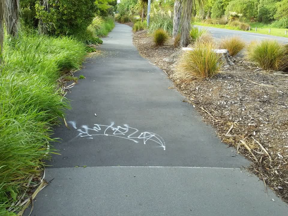 The photograph attached to this graffiti report