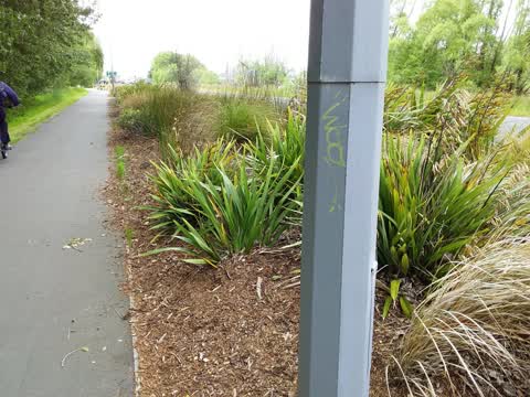 Graffiti, a report photo