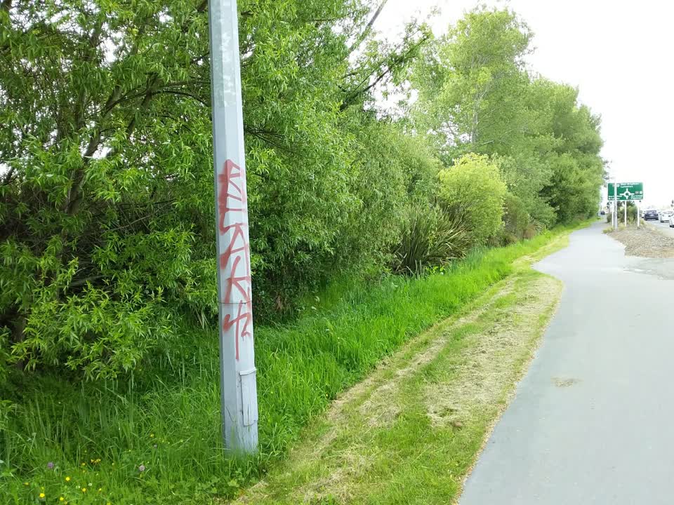 The photograph attached to this graffiti report