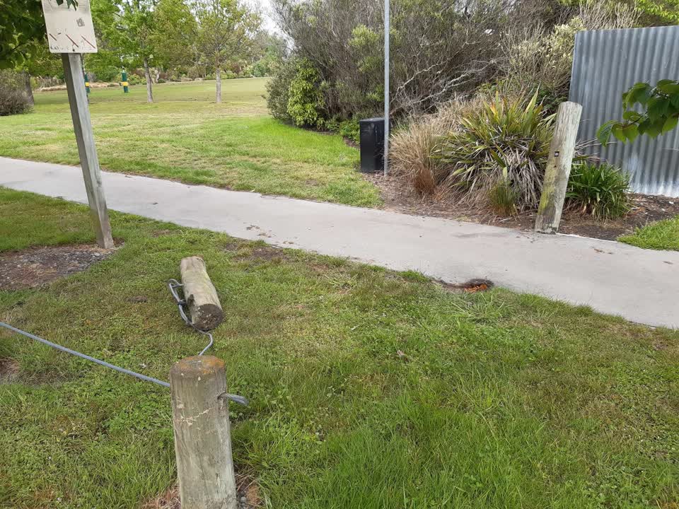 The photograph attached to this parks report