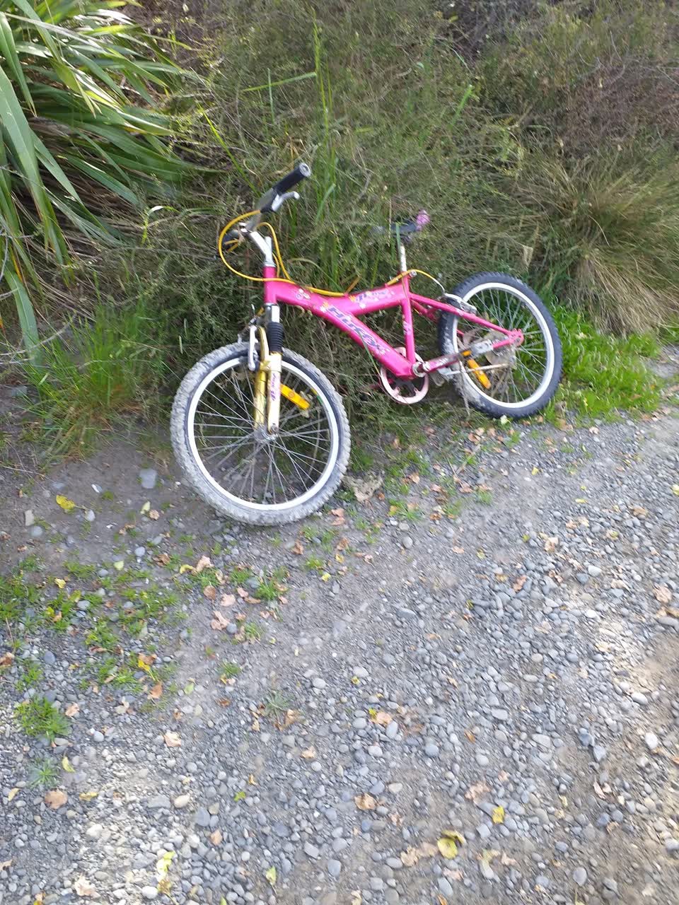 The photograph attached to this parks report