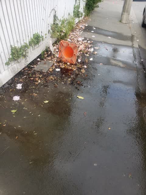Water Leak, a report photo