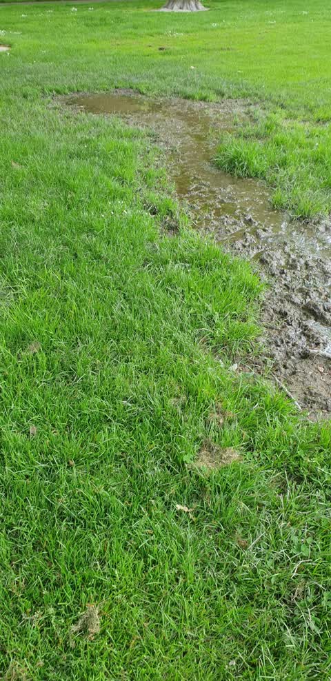 Parks, a report photo