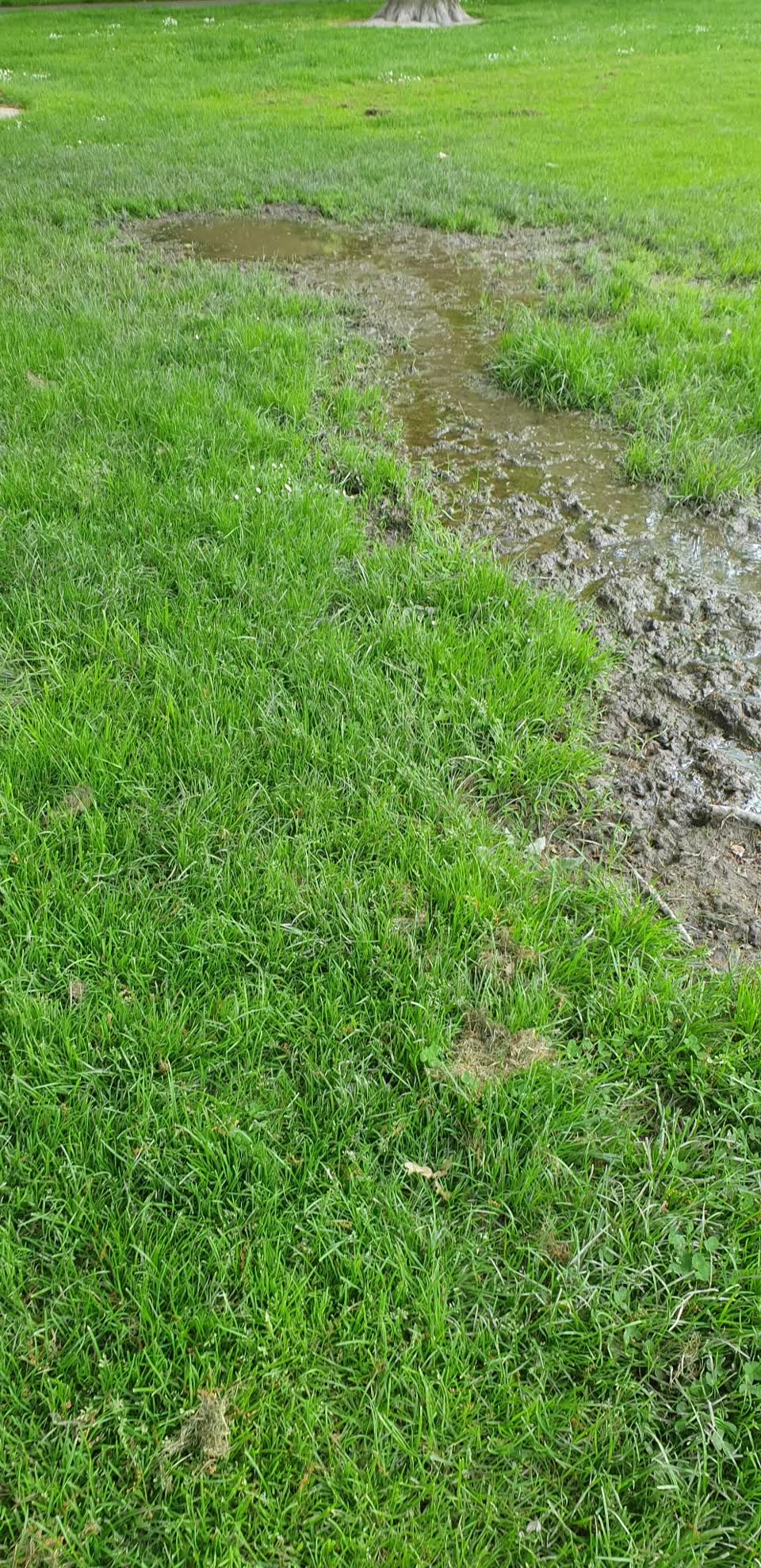 The photograph attached to this parks report