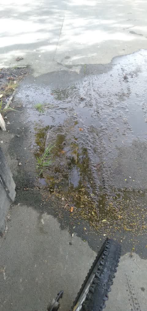 Water Leak, a report photo