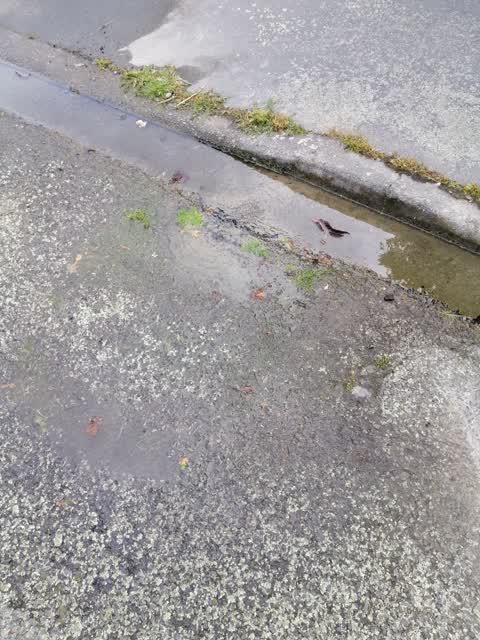 Water Leak, a report photo