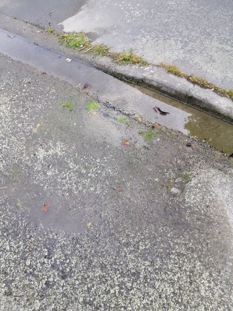 The photograph attached to this water leak report