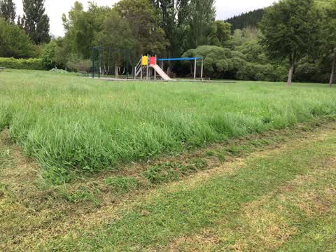 Parks, a report photo
