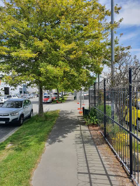 Roading/Streets, a report photo