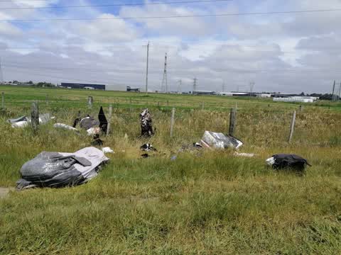 Rubbish/Recycling, a report photo