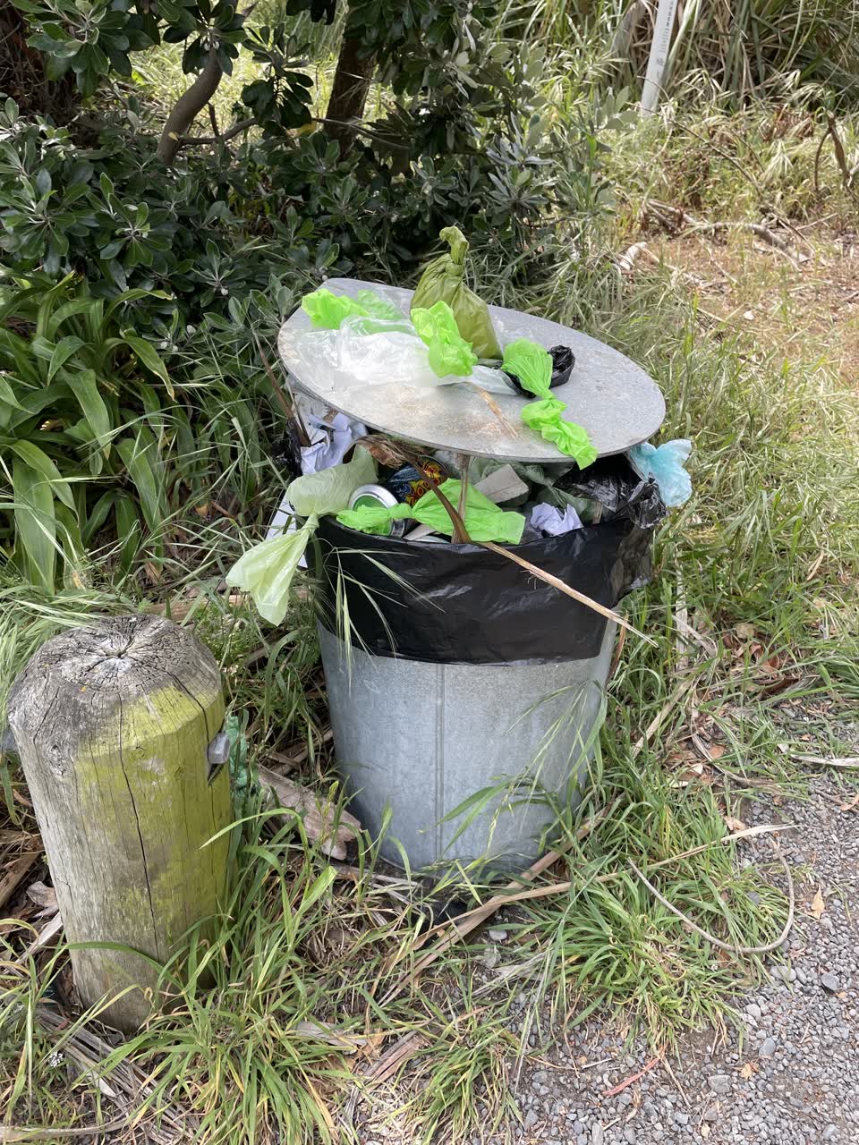 The photograph attached to this rubbish/recycling report