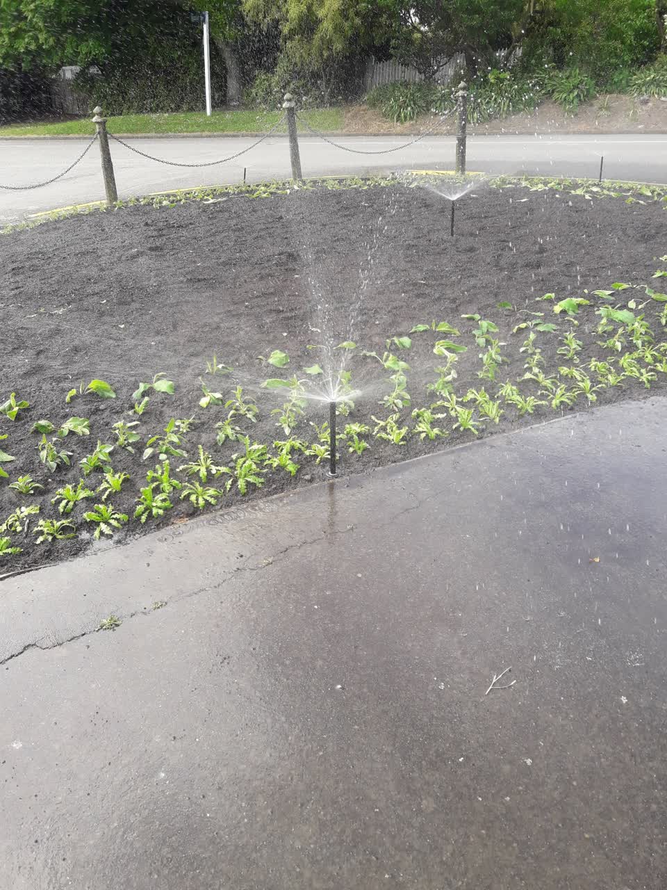 The photograph attached to this parks report
