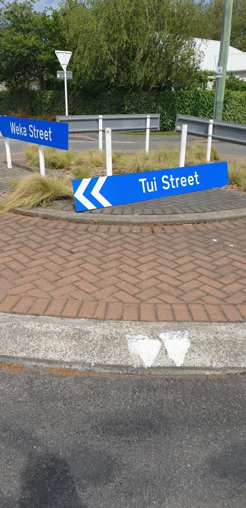 Roading/Streets, a report photo