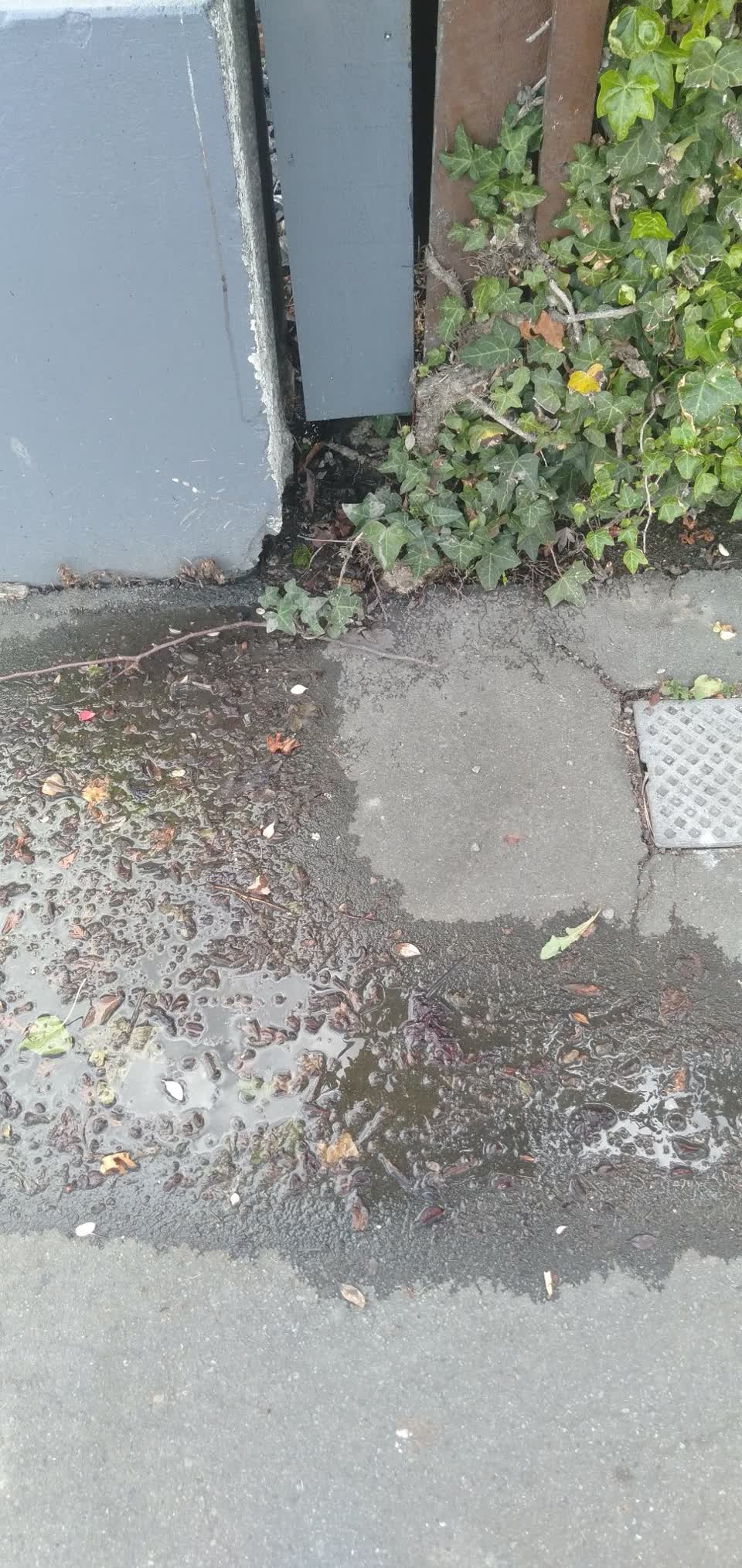 The photograph attached to this water leak report
