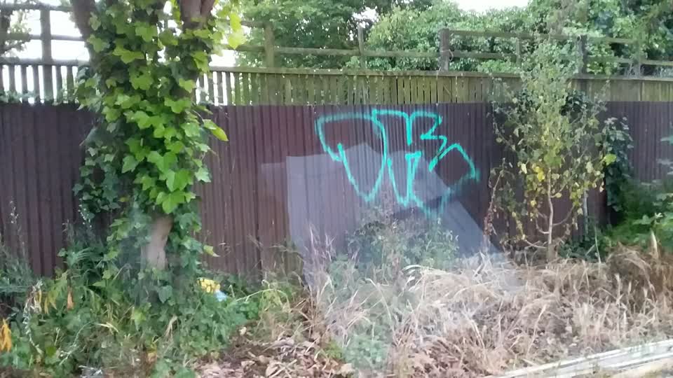 The photograph attached to this graffiti report