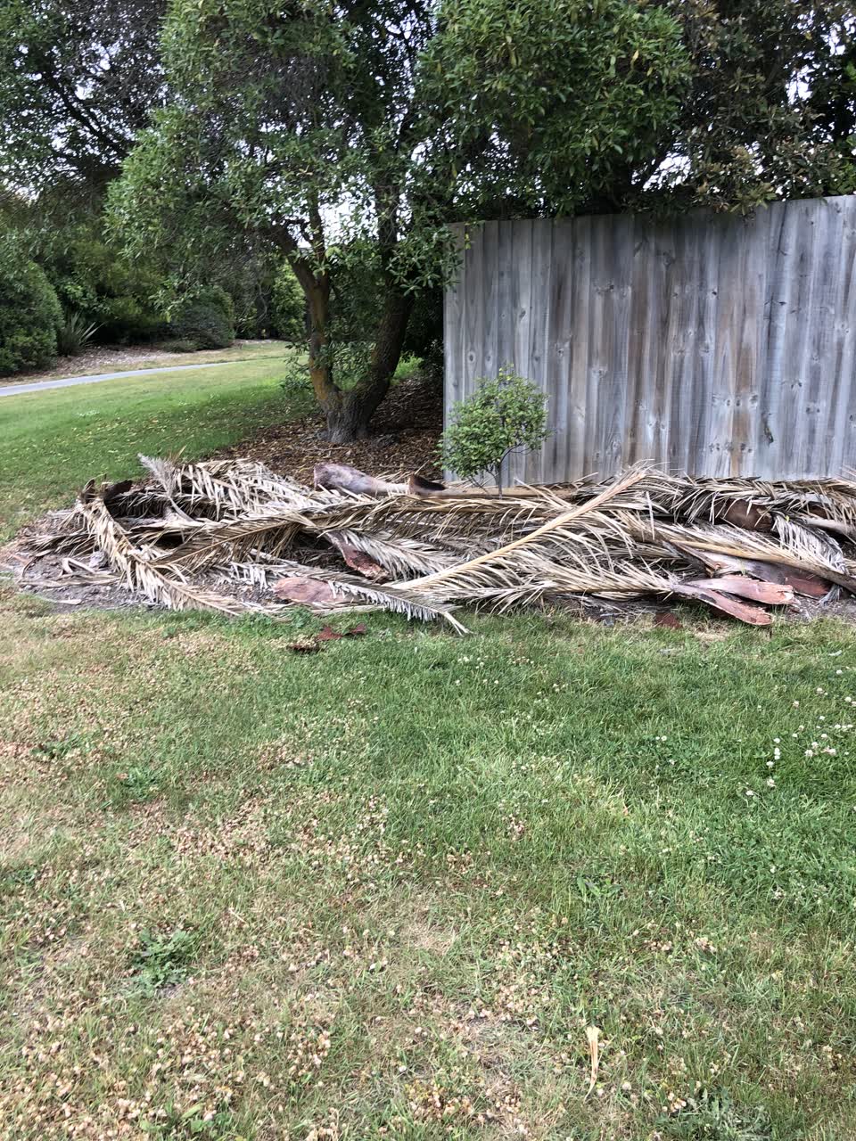 The photograph attached to this parks report