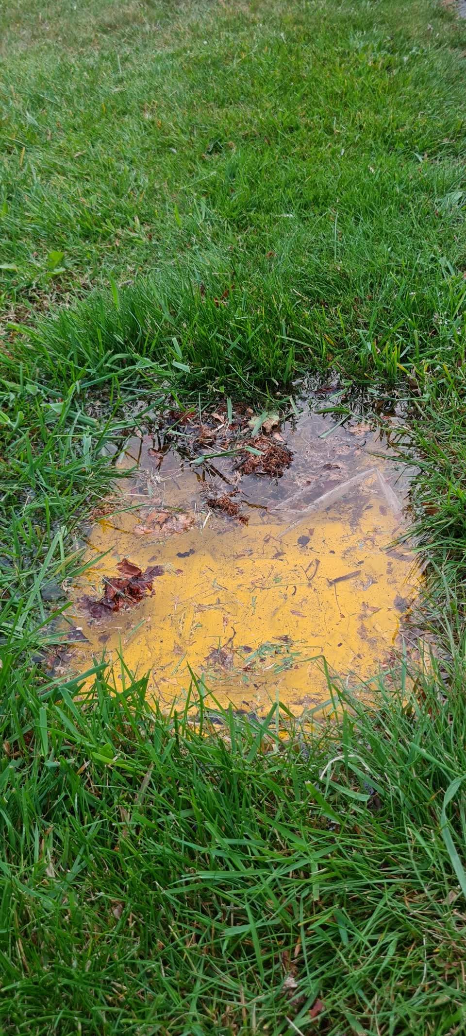 The photograph attached to this flooding report