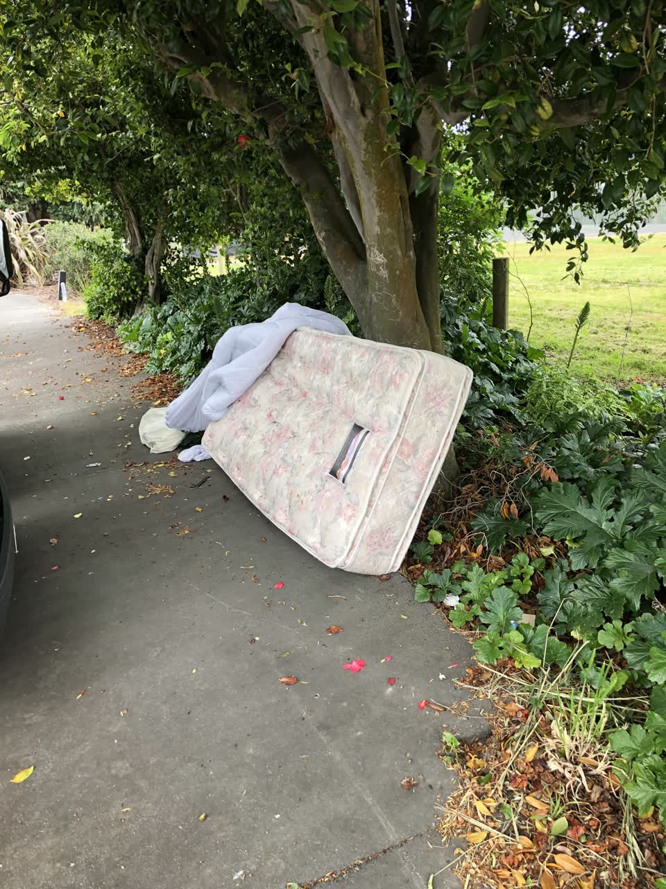 The photograph attached to this rubbish/recycling report