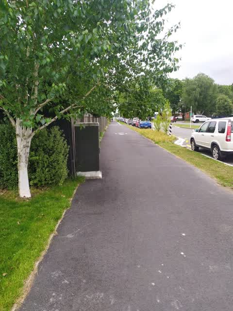 Roading/Streets — a report photo