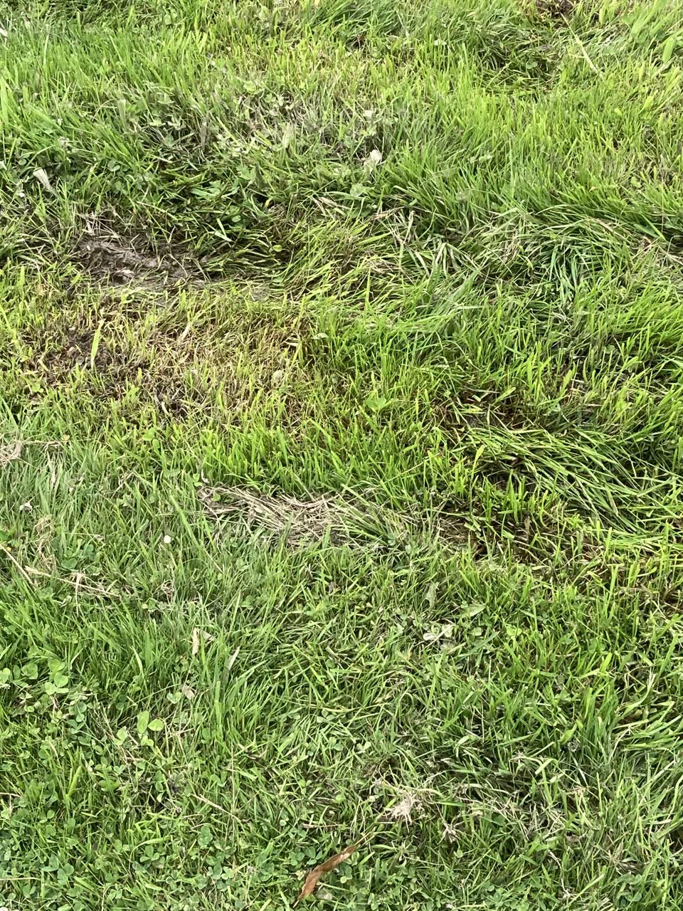 The photograph attached to this water leak report