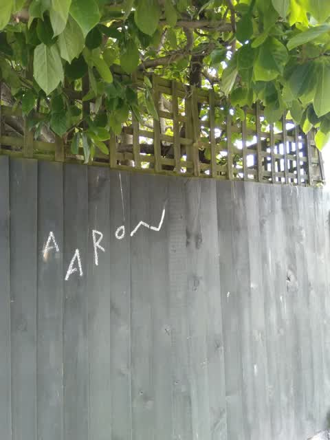 Graffiti, a report photo