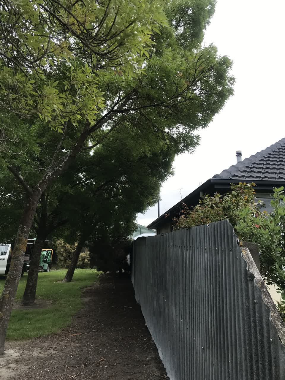 The photograph attached to this parks report
