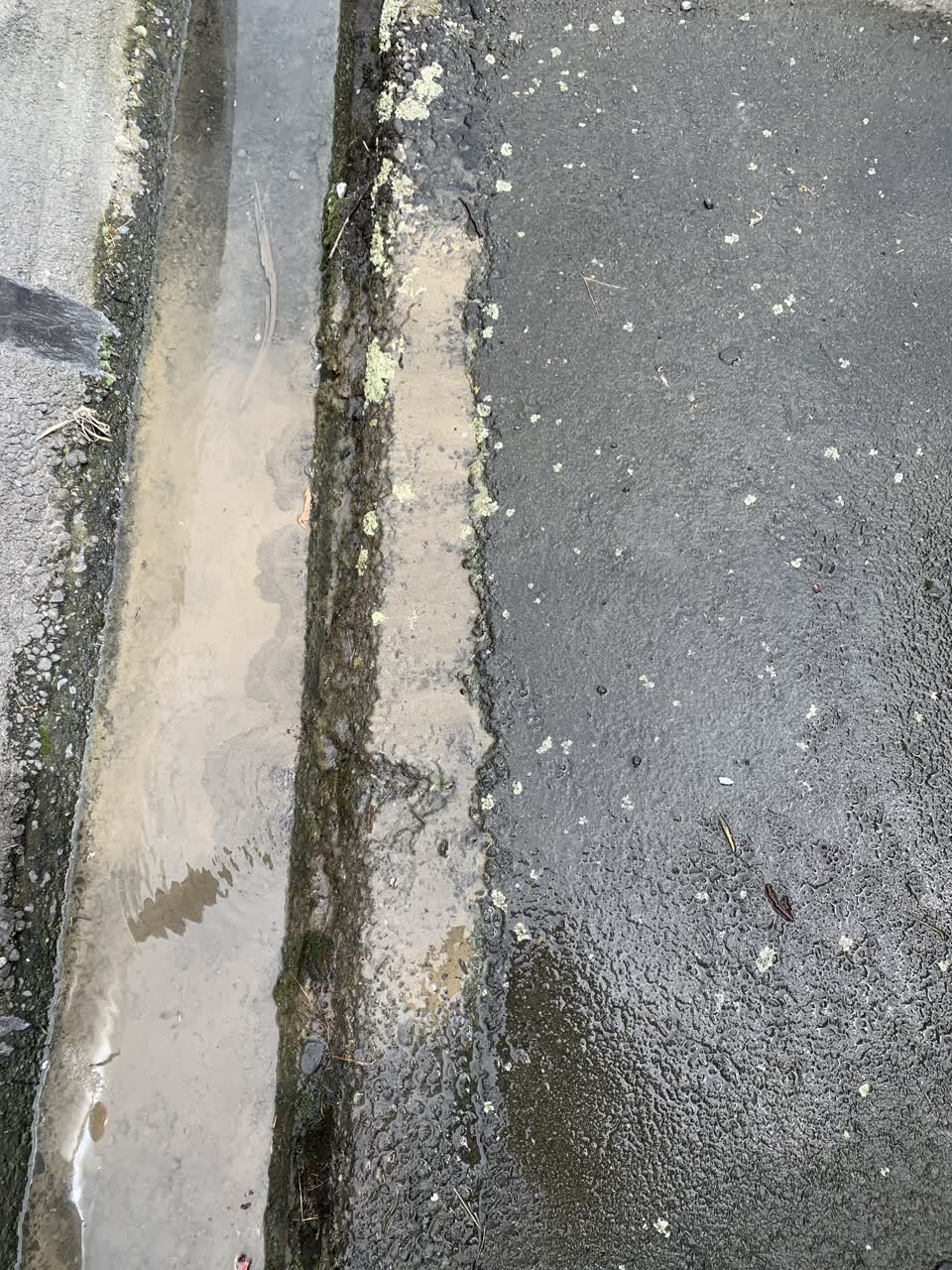 The photograph attached to this water leak report