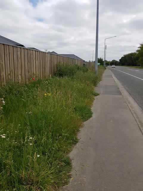 Roading/Streets — a report photo