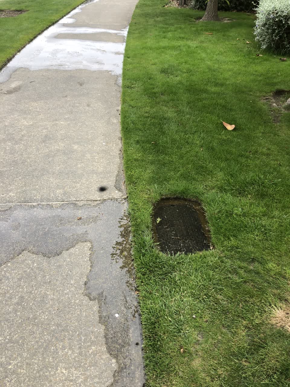 The photograph attached to this water leak report