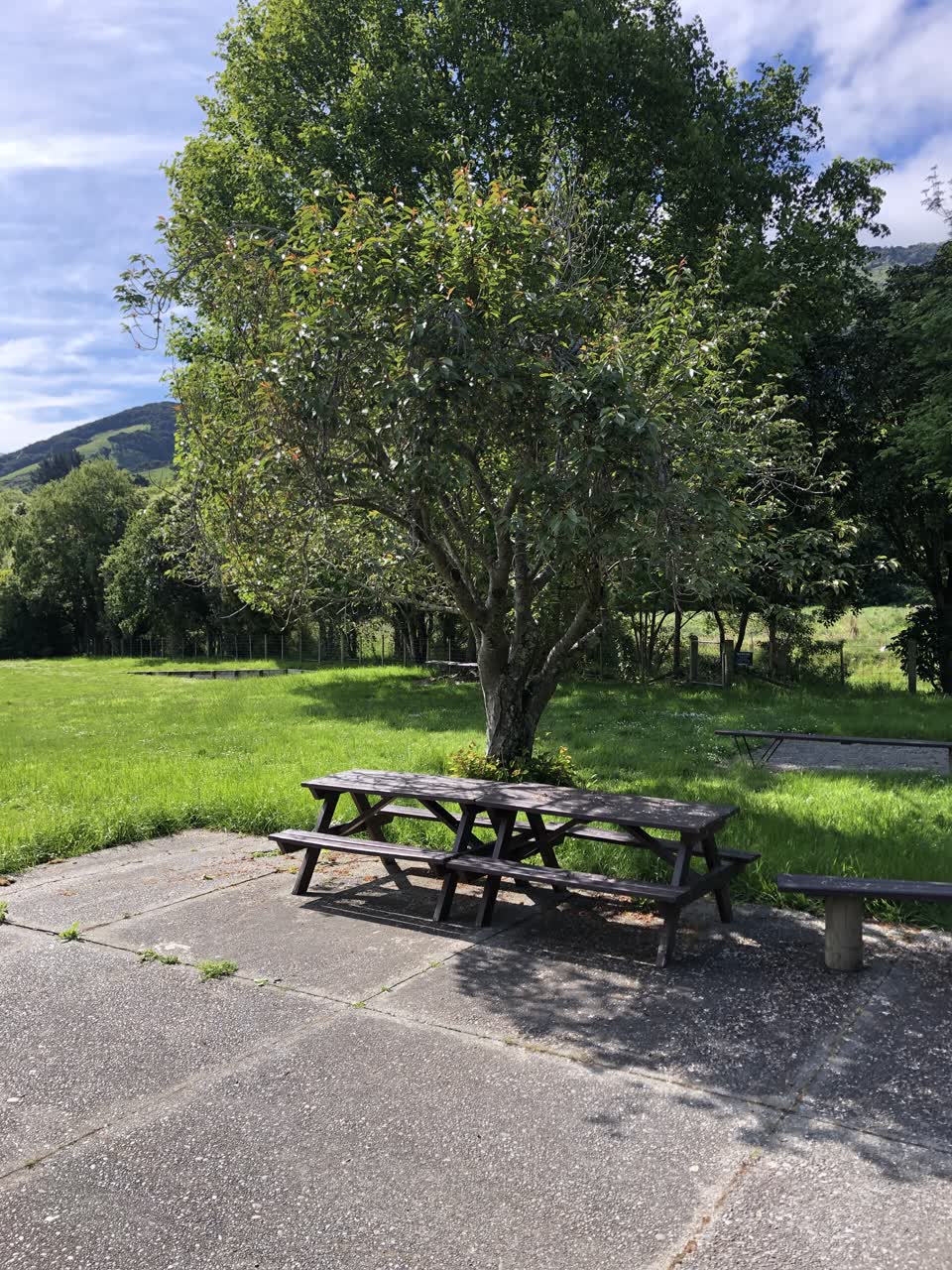 The photograph attached to this parks report