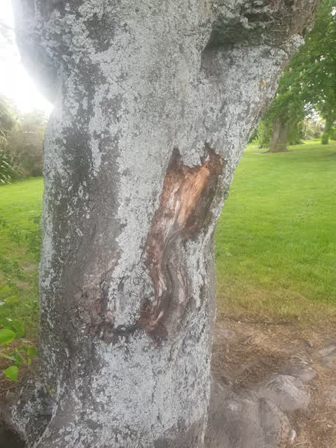 Parks, a report photo