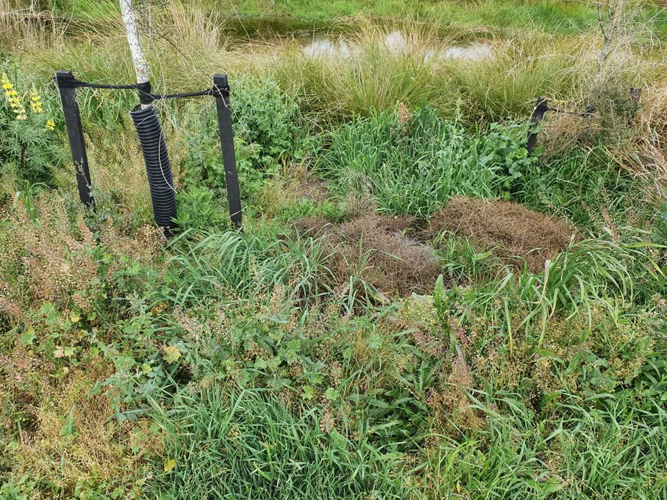 The photograph attached to this parks report