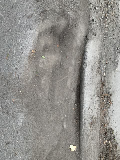 Roading/Streets, a report photo