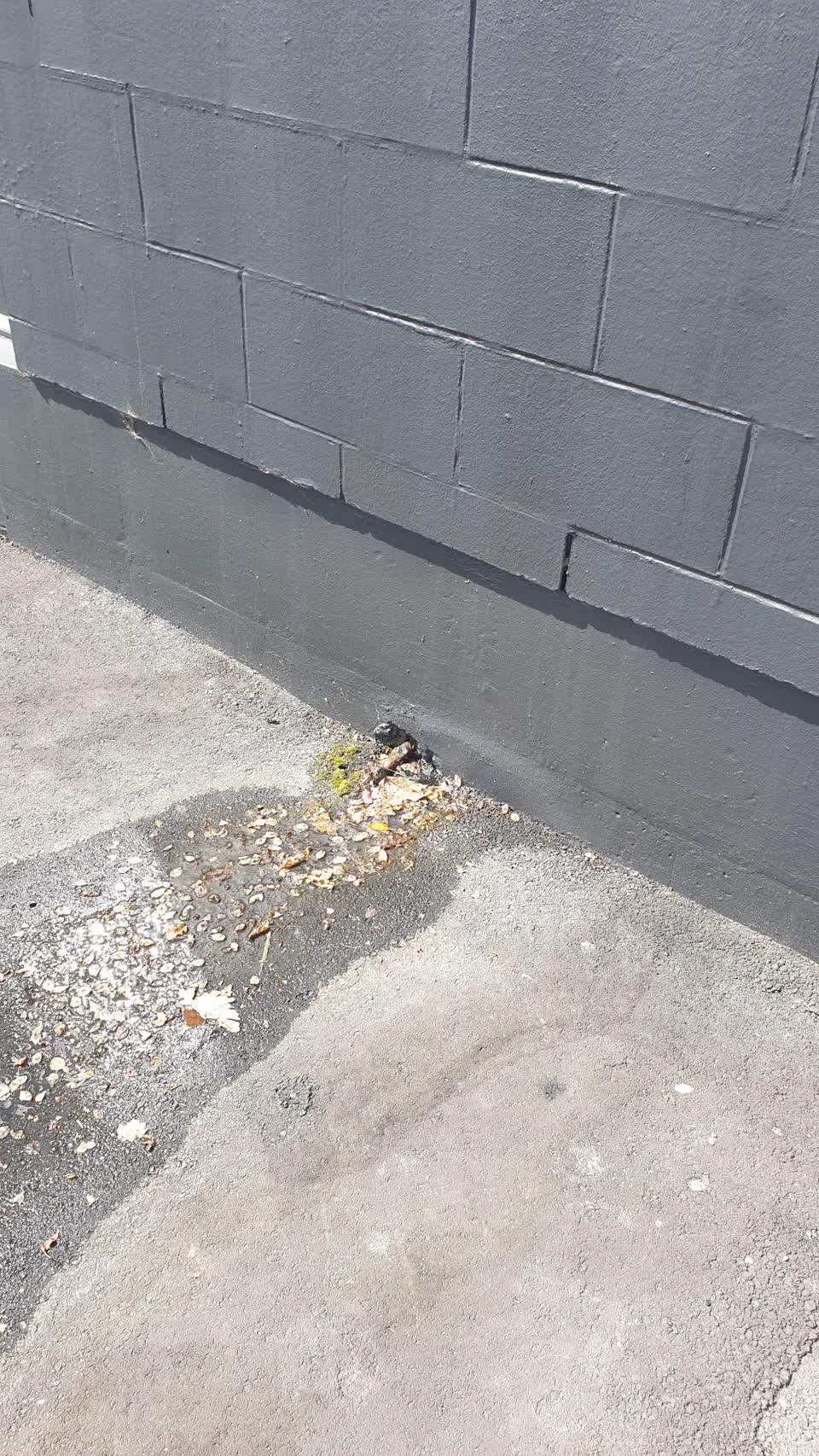 The photograph attached to this water leak report
