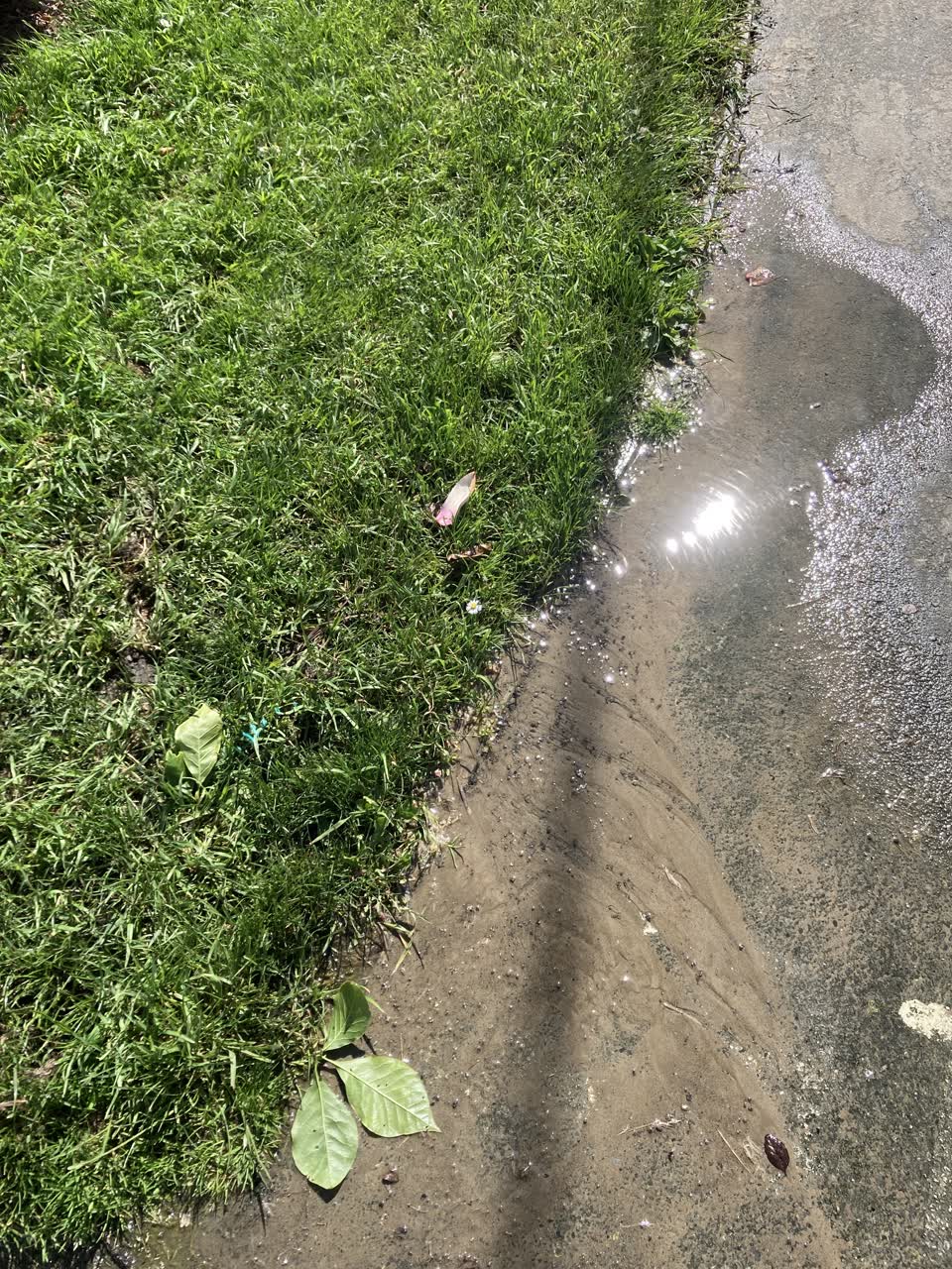 The photograph attached to this water leak report