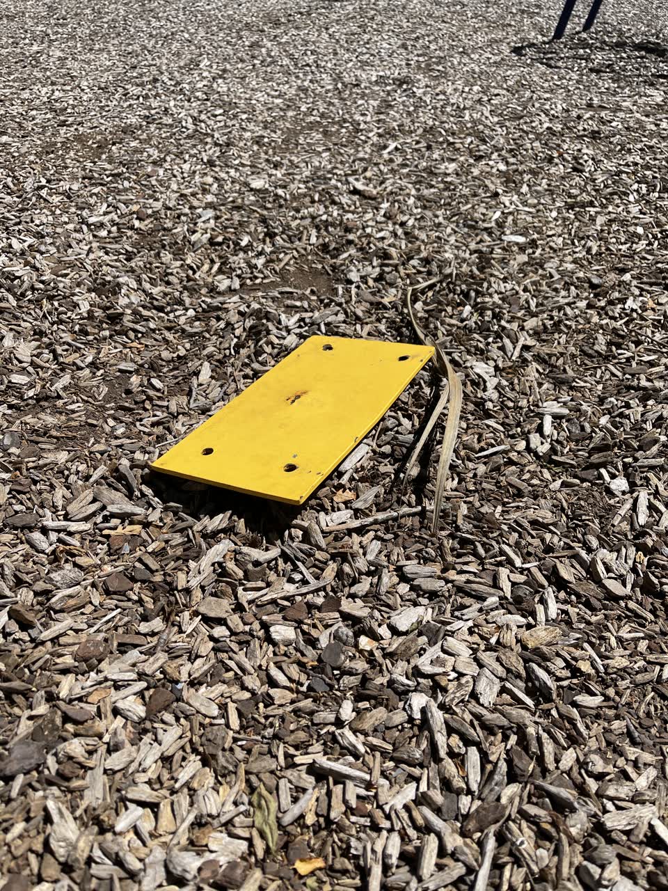 The photograph attached to this parks report