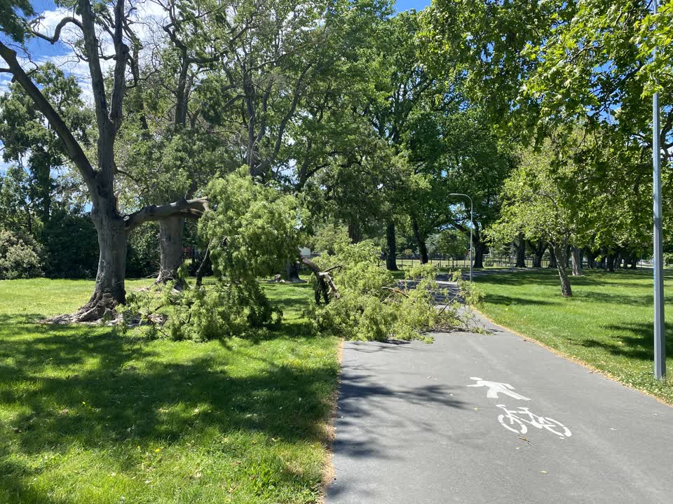 The photograph attached to this parks report