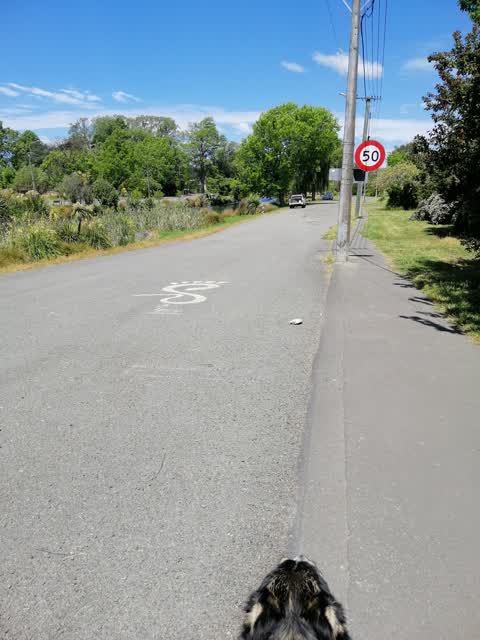 Roading/Streets, a report photo