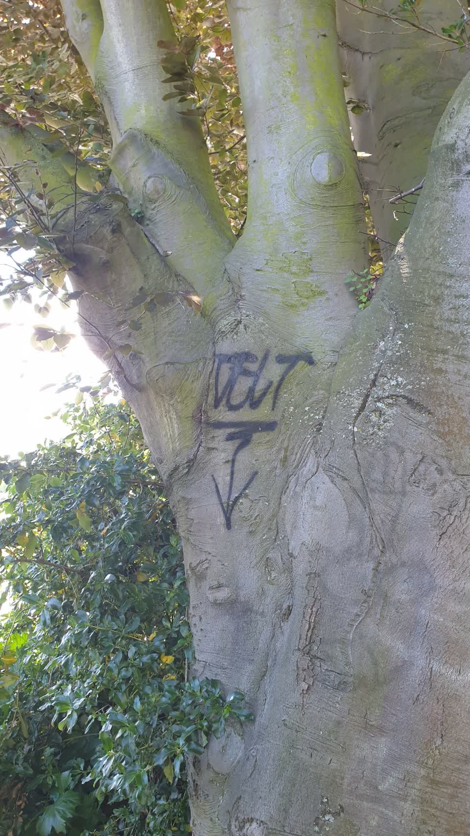 The photograph attached to this graffiti report