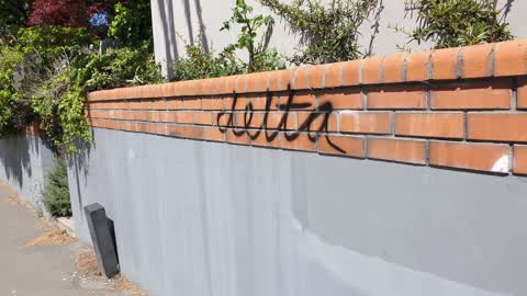 Graffiti, a report photo