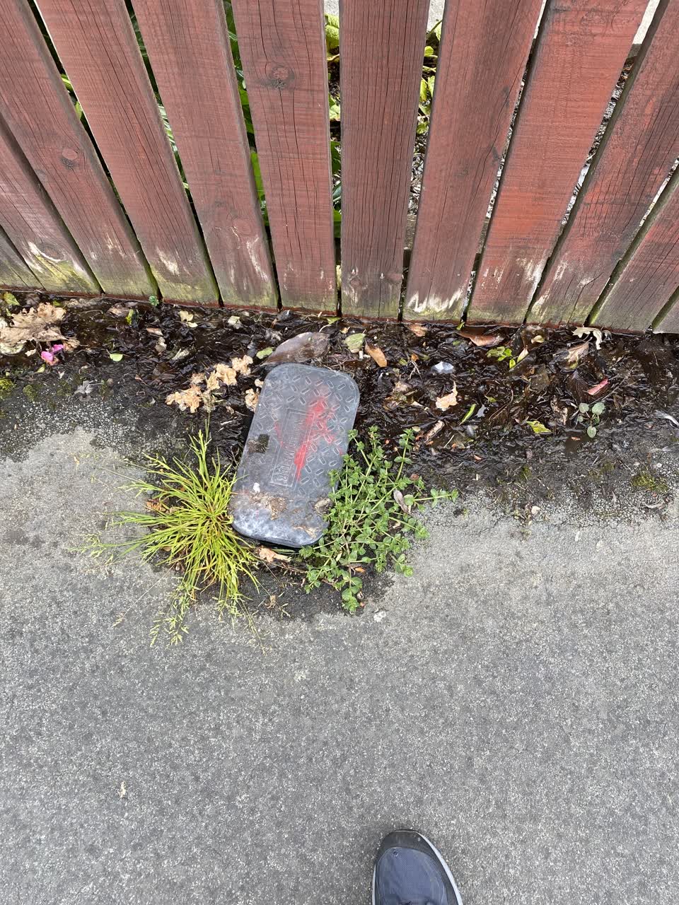 The photograph attached to this water leak report