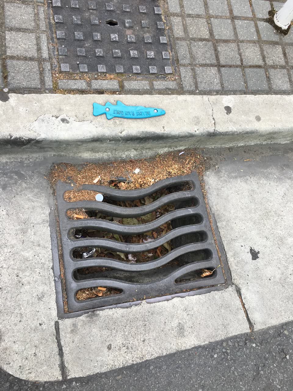 The photograph attached to this wastewater/stormwater report