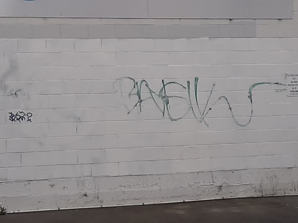 The photograph attached to this graffiti report