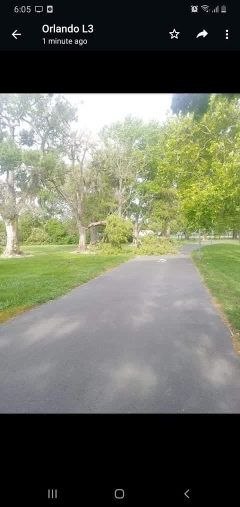 Parks, a report photo